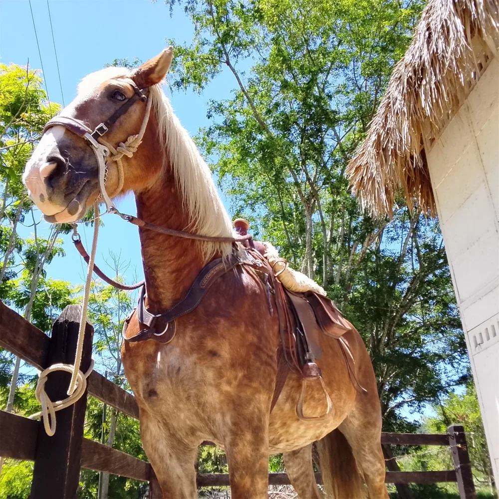 Paseo a caballo en Valkiria Glamping