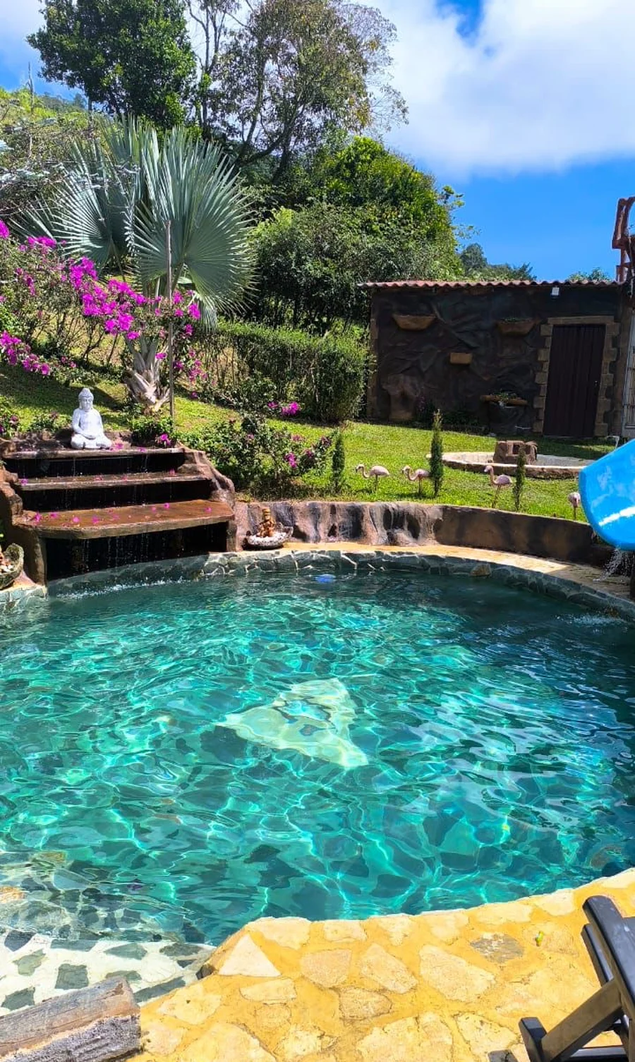 Piscina natural con jardín zen y flamingos